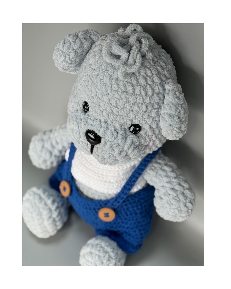 Teddy in blue attire