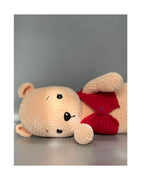 Teddy in red vest
