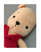 Teddy in red vest