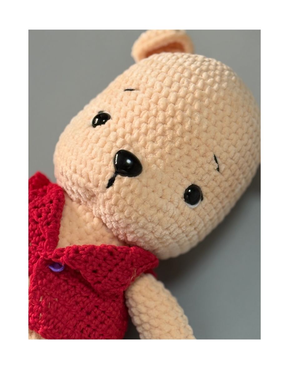 Teddy in red vest