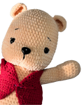 Teddy in red vest