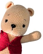 Teddy in red vest