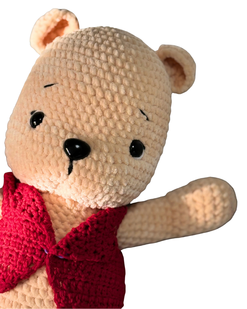 Teddy in red vest