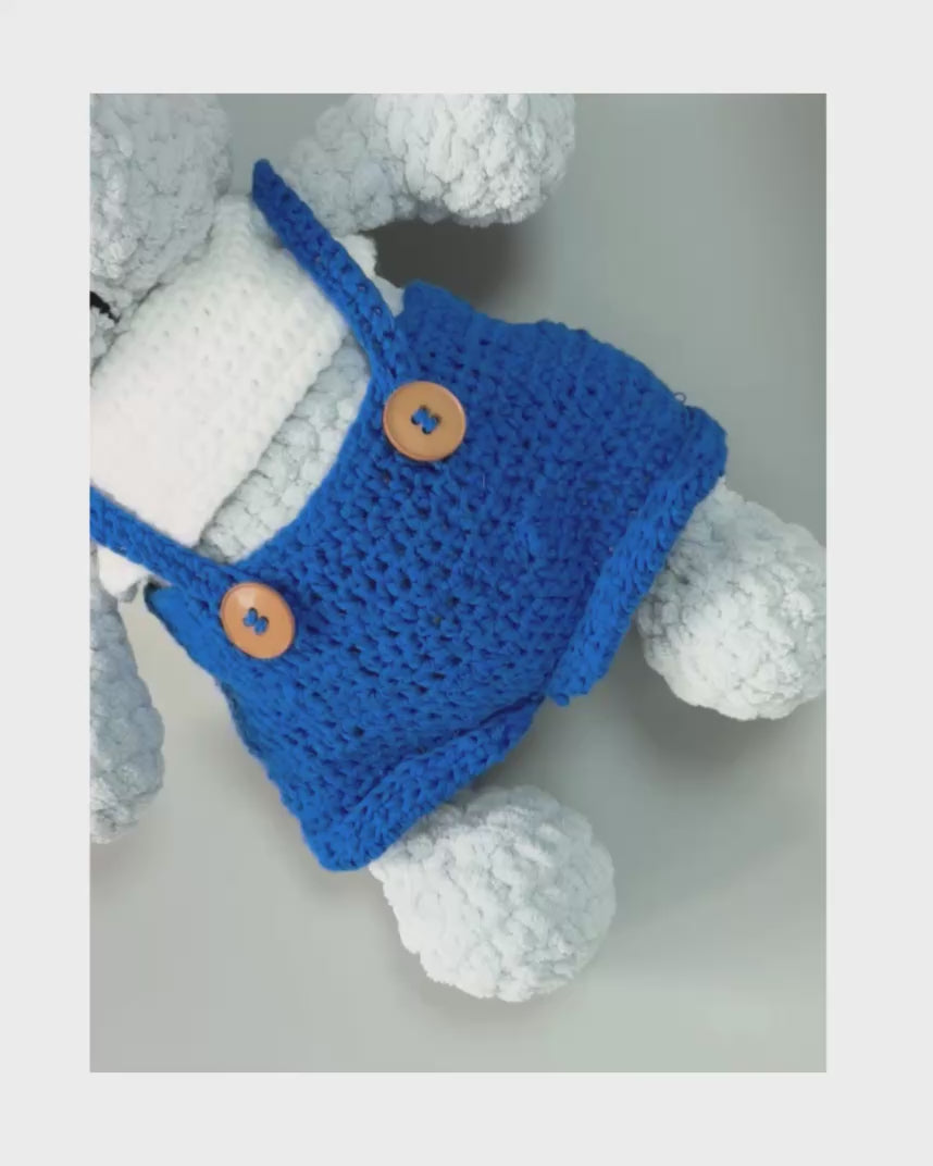 Teddy in blue attire
